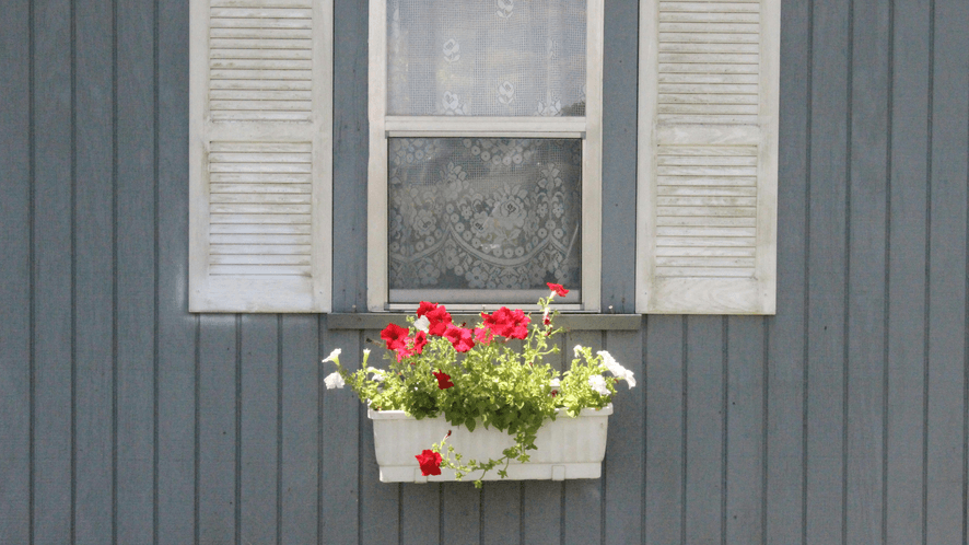 blog