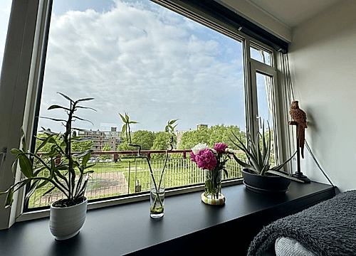 Foto Maassingel 184 's-Hertogenbosch #5
