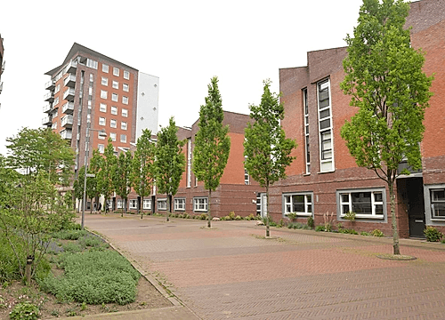 Foto Koningsloper 24 Oss #3