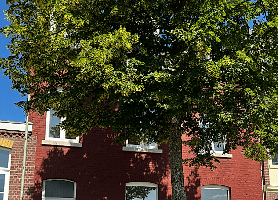 Foto Grensstraat 10a Vaals #1